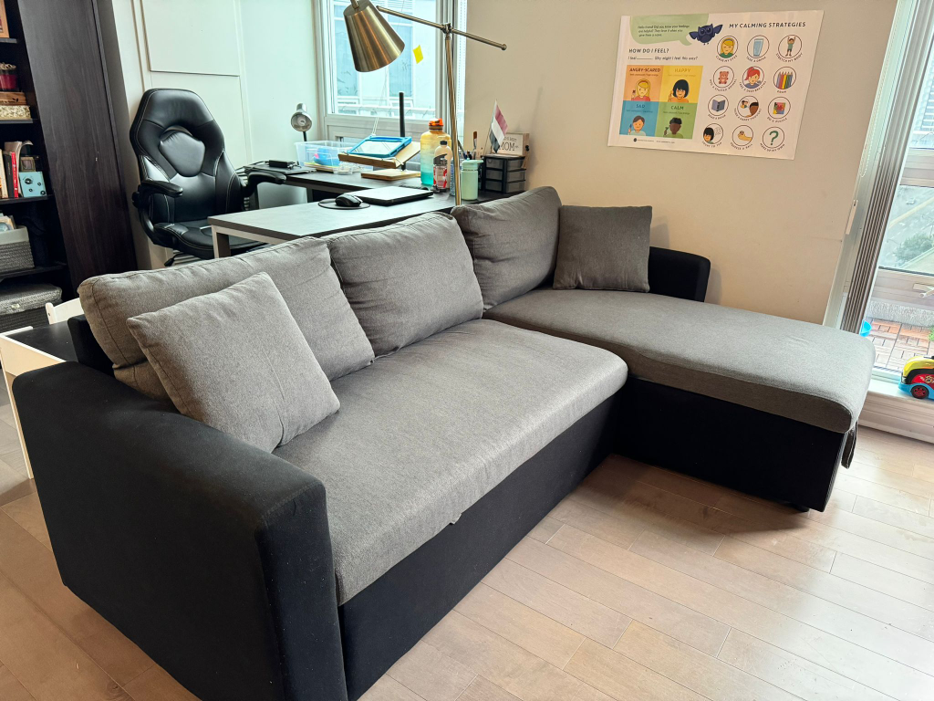 Sectional Couch with Pull-Out Bed - Moving Out Sale!