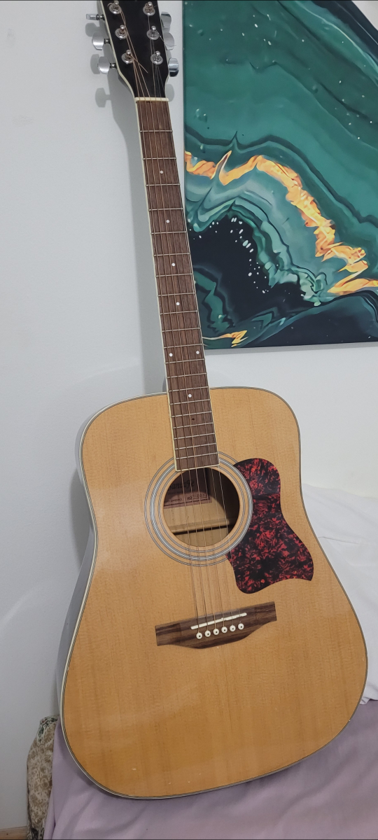 Acoustic Guitar - Santa Fe