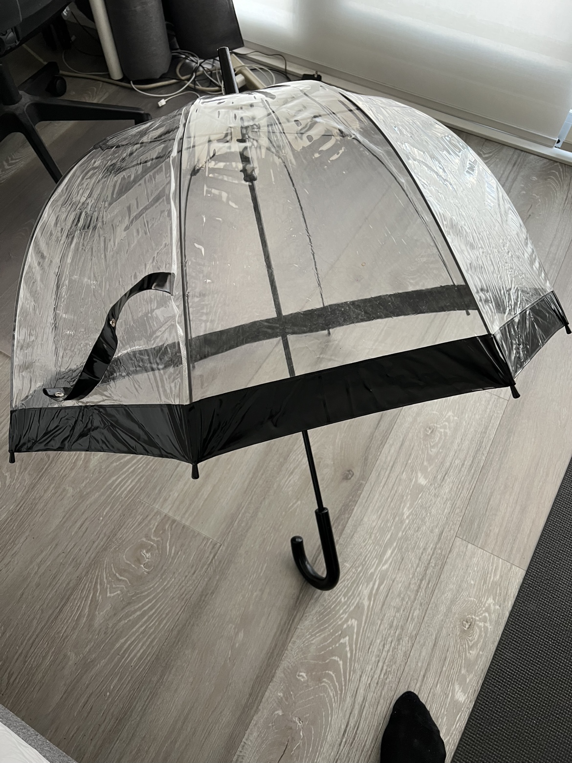 Clear Umbrella with Black Trim