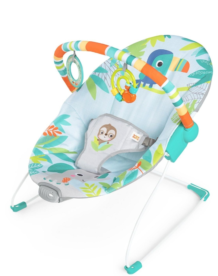 Bright Starts-Vibrating Bouncer, 0 - 6 months