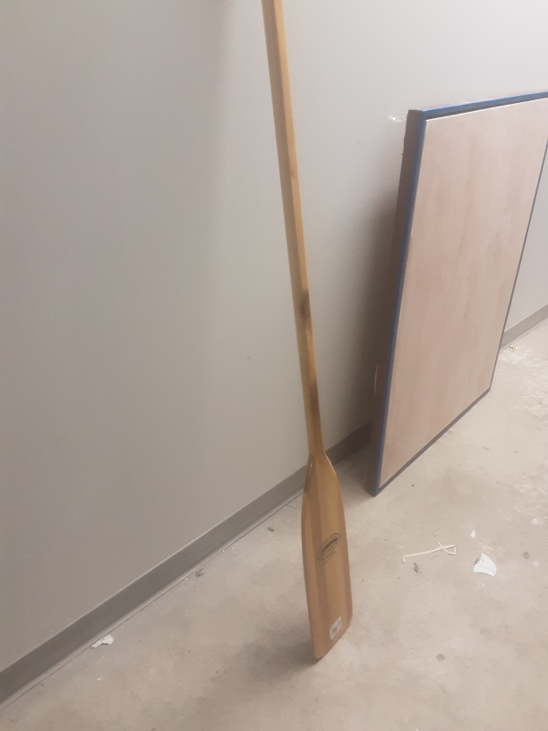 Metal Detector