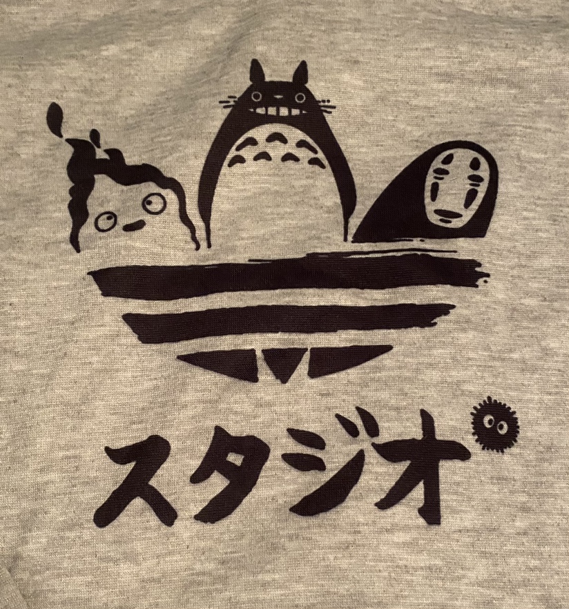 Studio Ghibli Themed Hoodie - photo 2