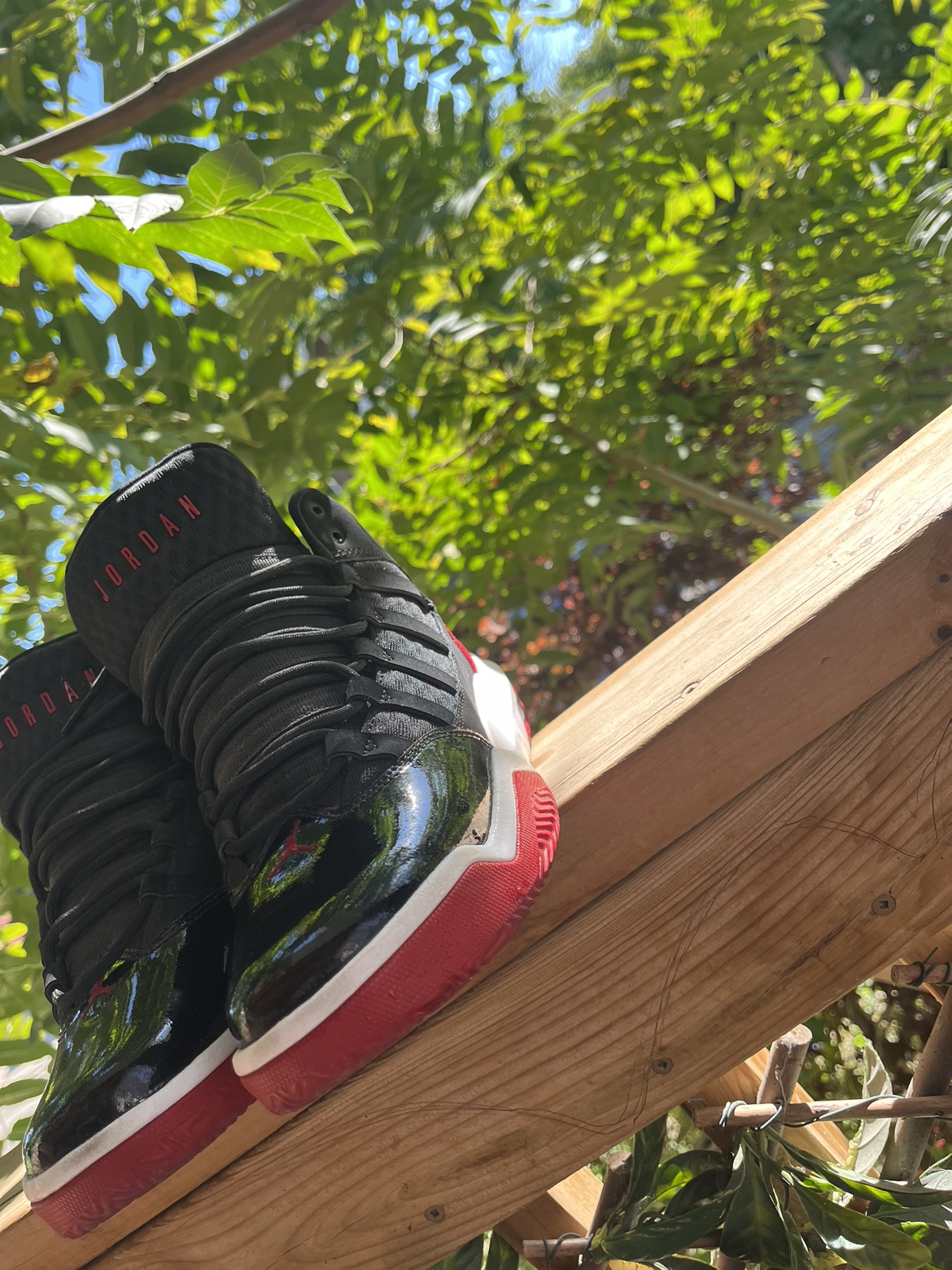 Air Jordan 11 Retro Low - photo 4
