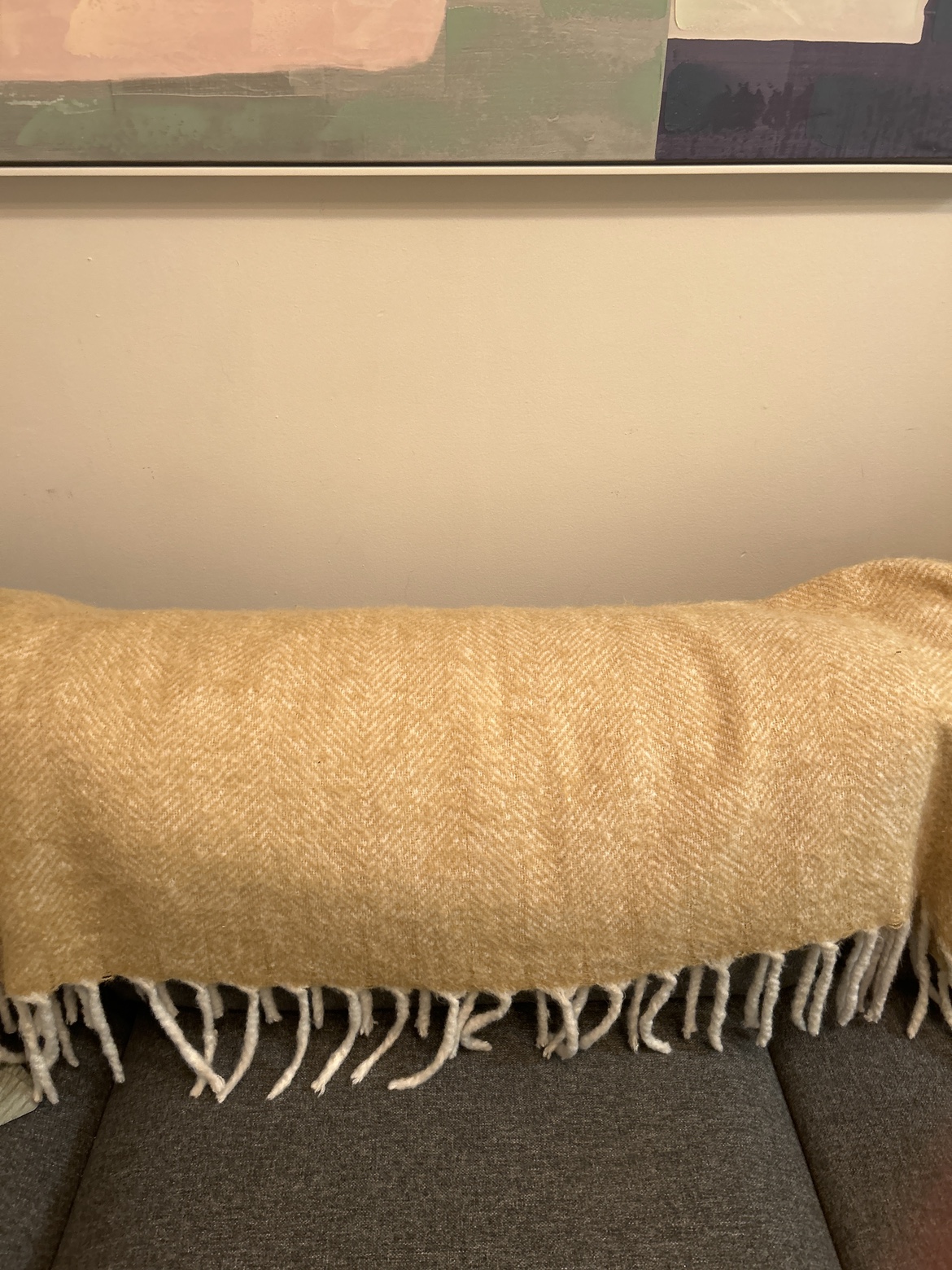 Throw Blanket