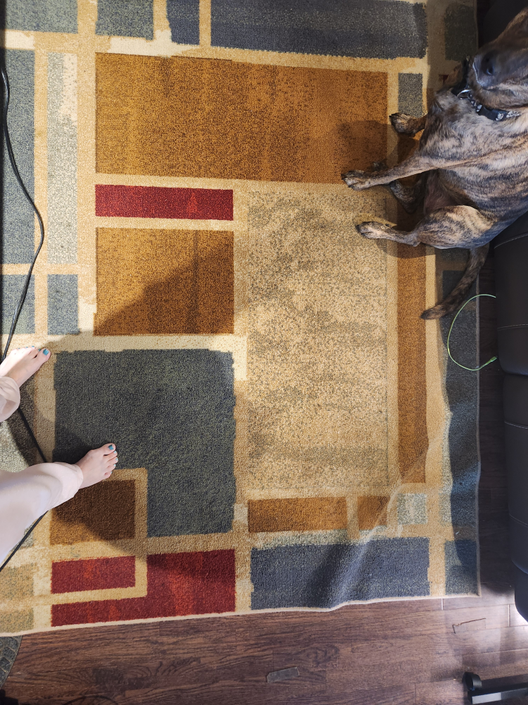 Large Area Rug $30 - photo 2