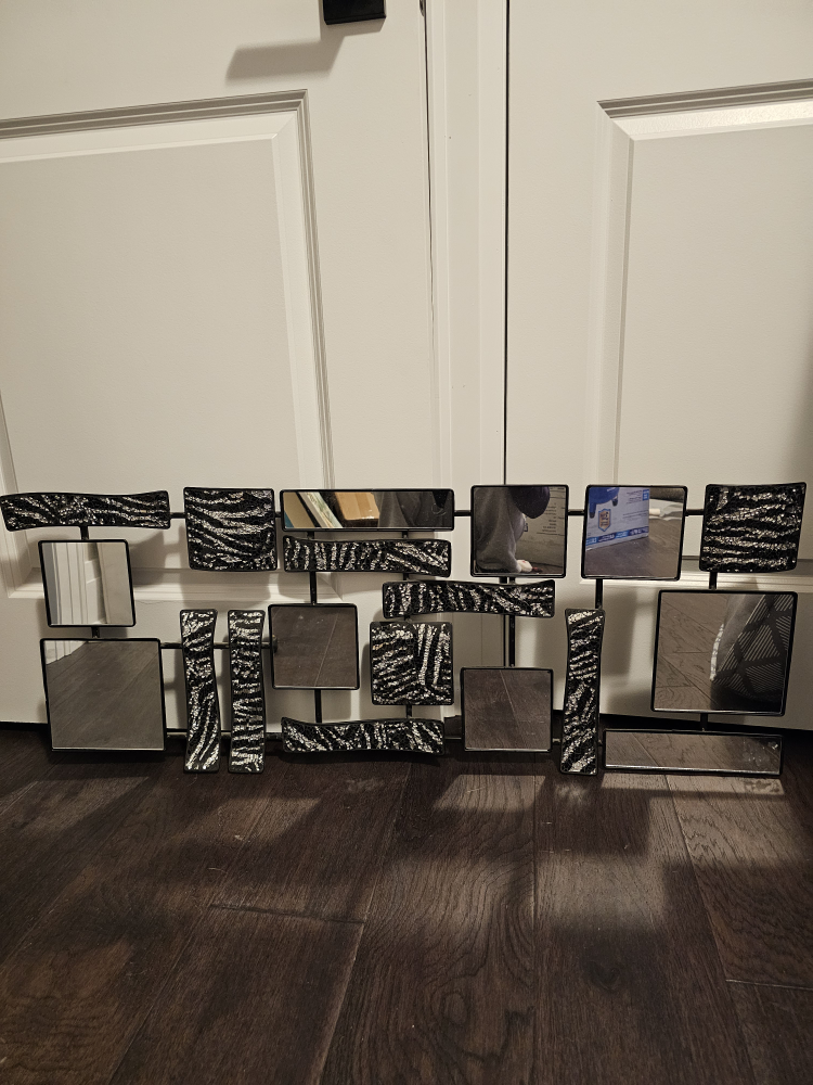 Zebra Print Mirror Wall Accent