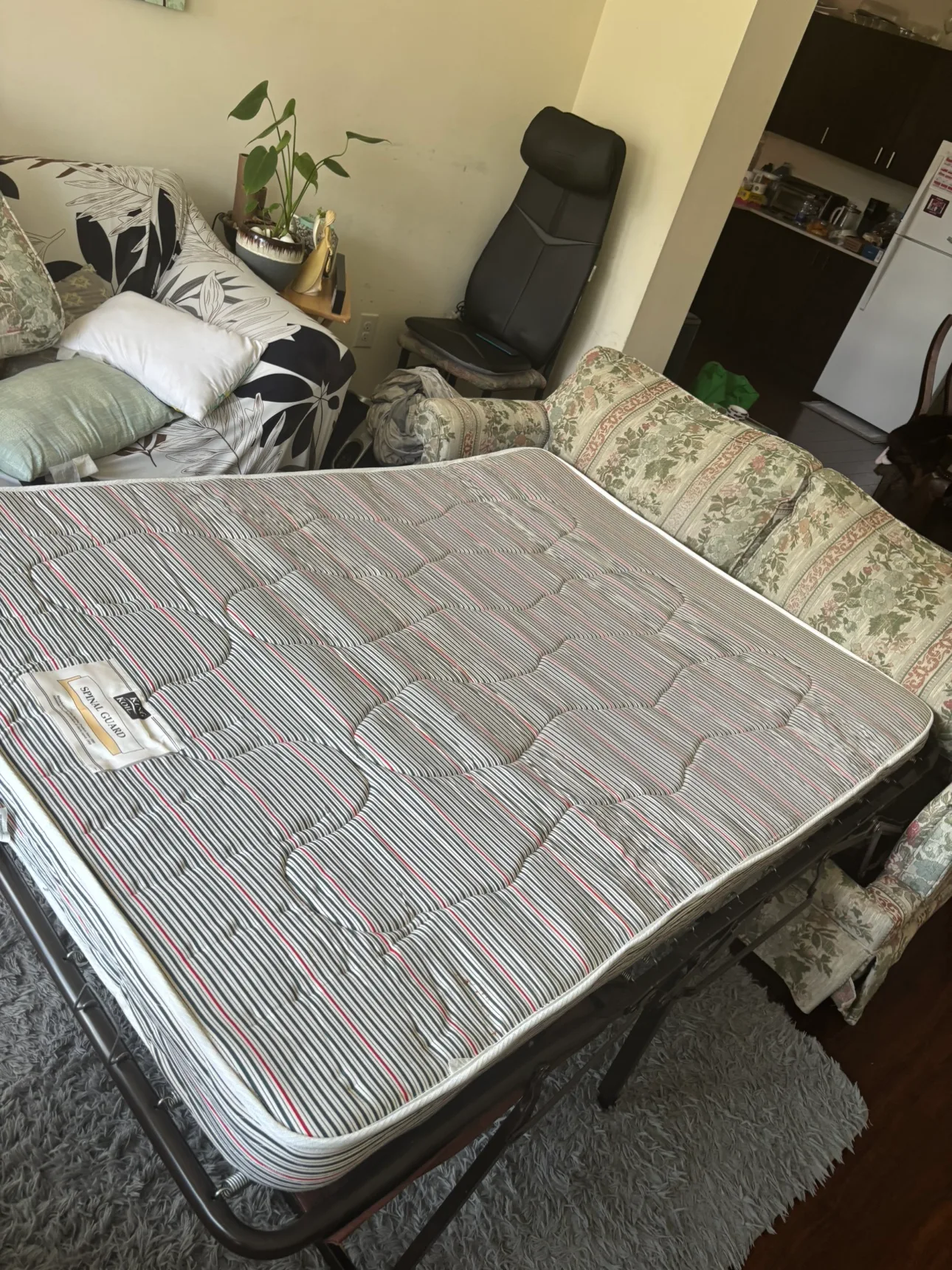 Free Floral Sofa Bed image indicator(3)