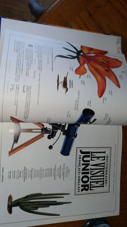 French-English Visual Dictionary Junior image indicator(2)