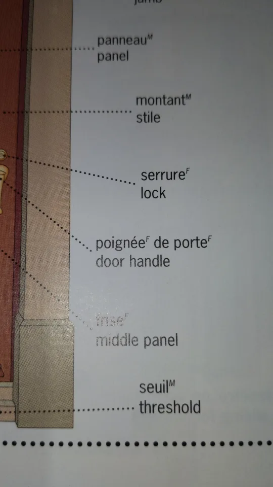 French-English Visual Dictionary Junior image indicator(4)