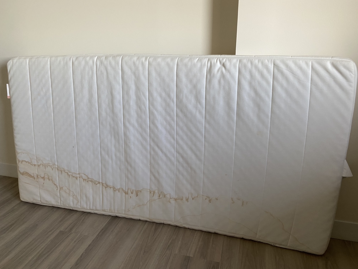 Free Twin Mattress