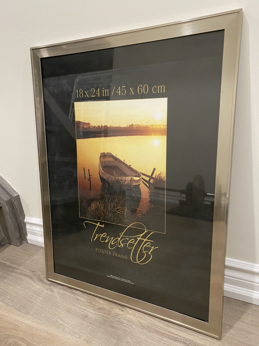 Trendsetter Poster Frame 18x24 in Karrot