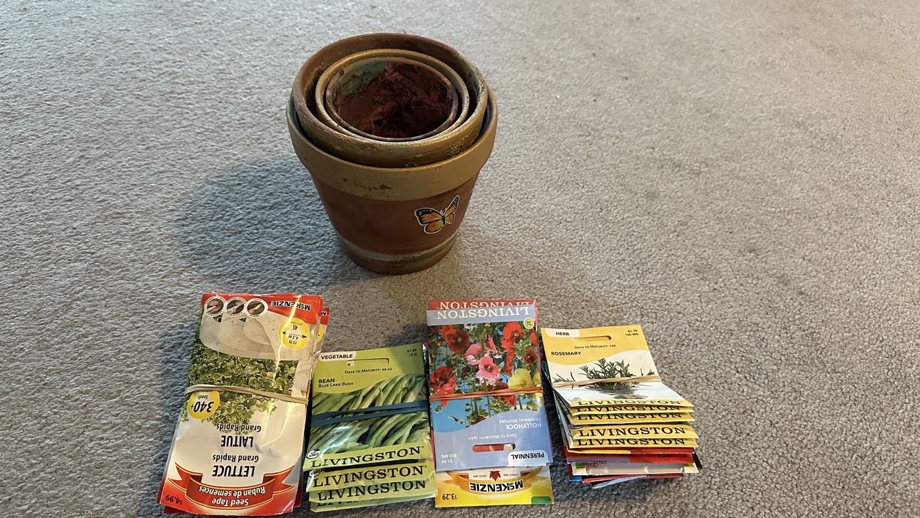 Set of Terracotta Pots and seeds