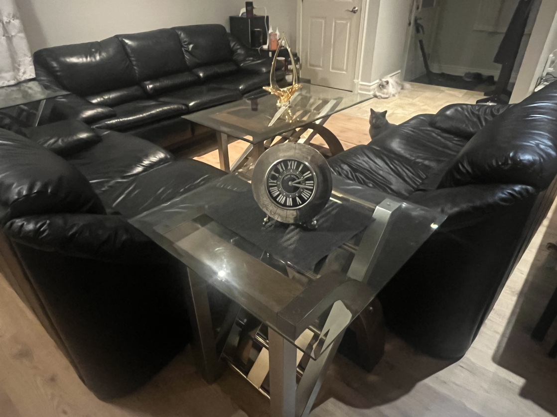 Leather Sofa Set with Coffee Table - photo 5