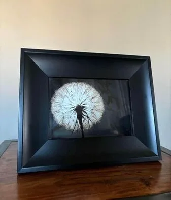 Assorted picture frames image indicator(2)