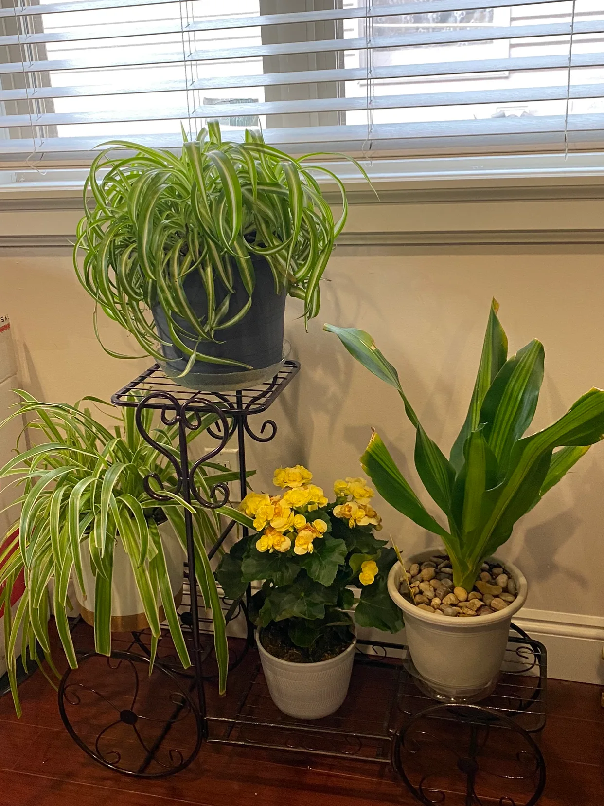 Plant Stand thumbnail