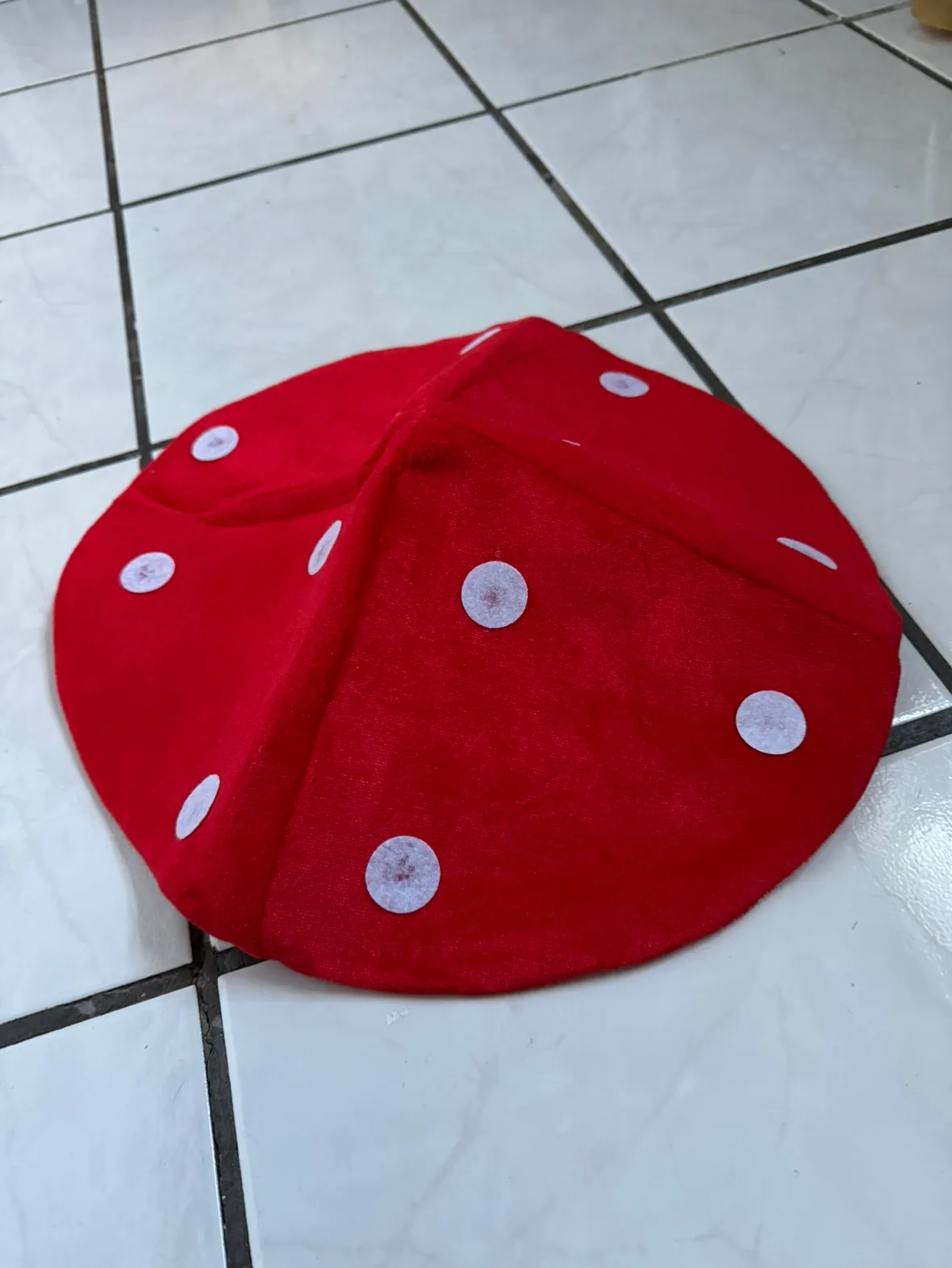 Red Mushroom Hat thumbnail