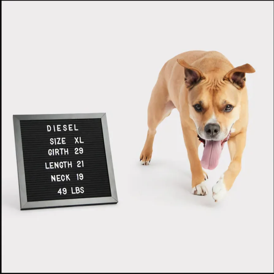 large size dog waterproof raincoat image indicator(7)