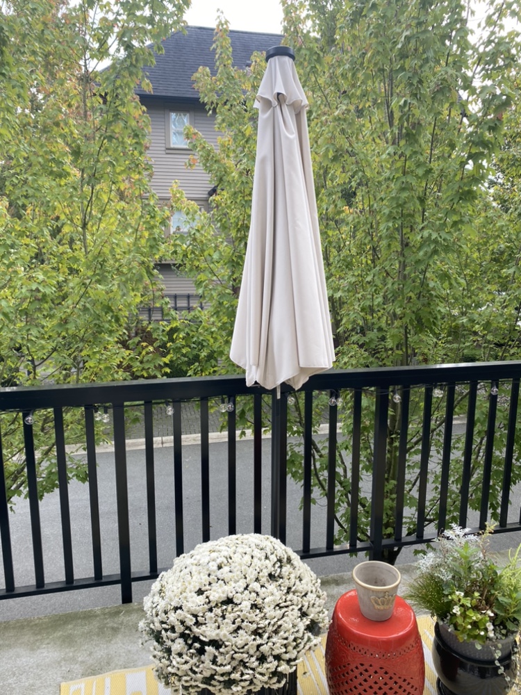 Patio Umbrella