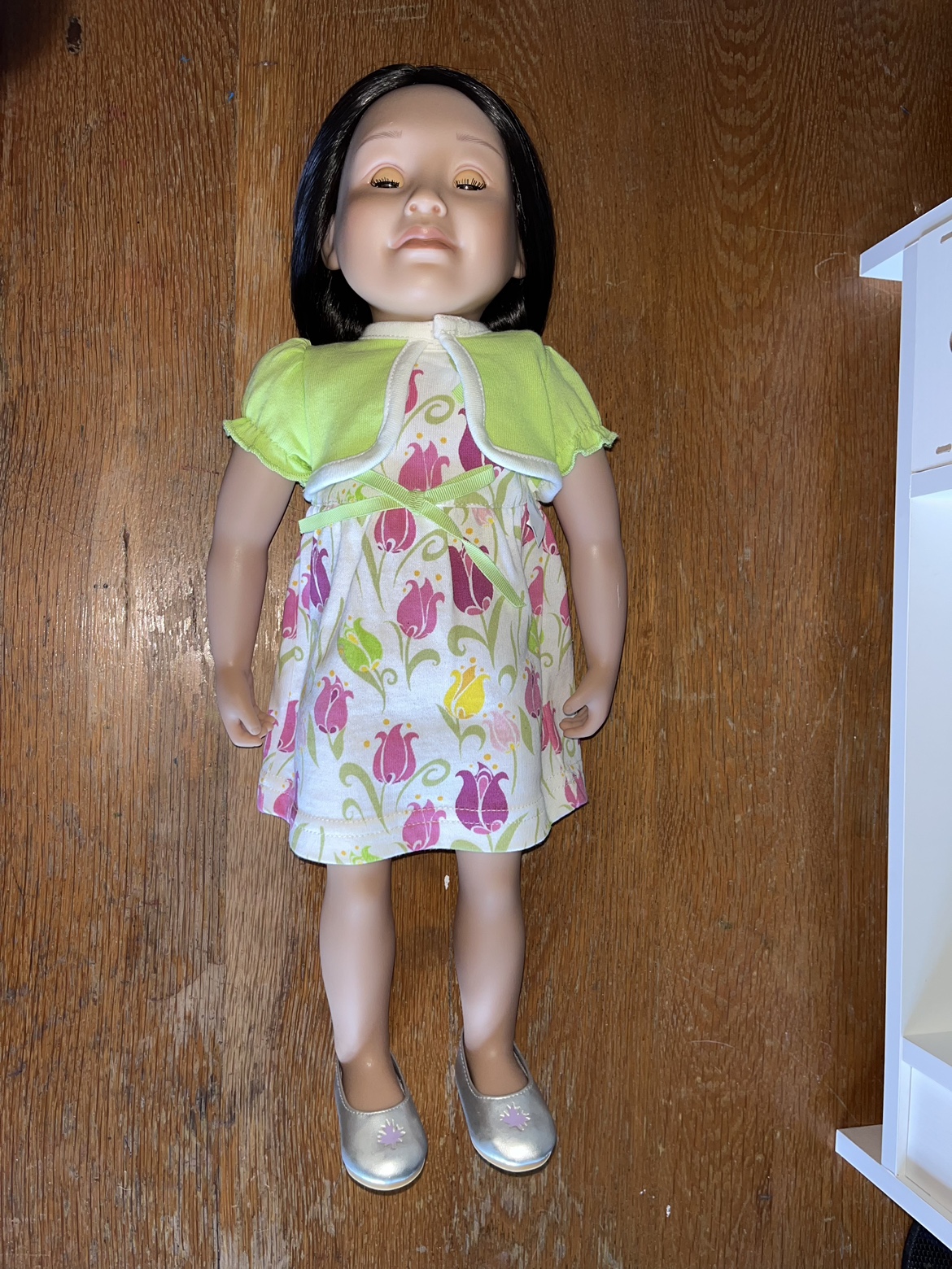 Maplelea Canadian Girl Doll