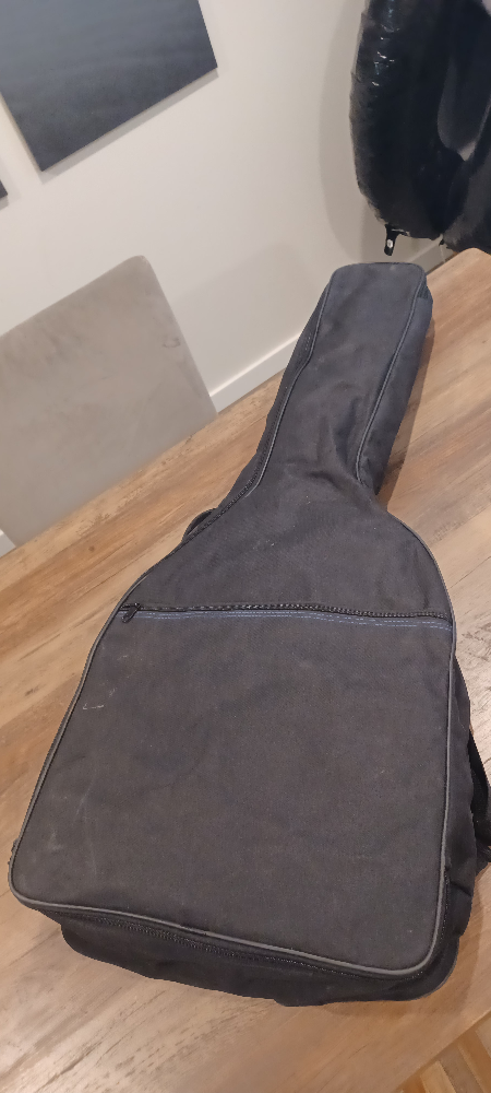 Acoustic Guitar