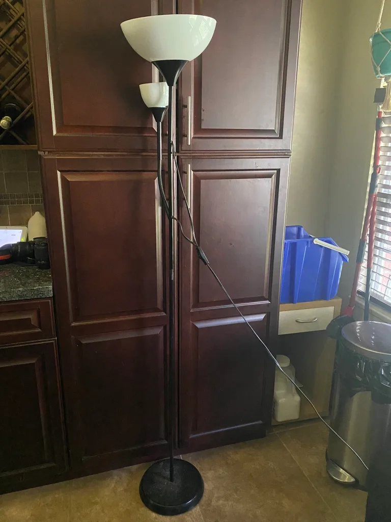 Black Floor Lamp with Two Lights image indicator(5)