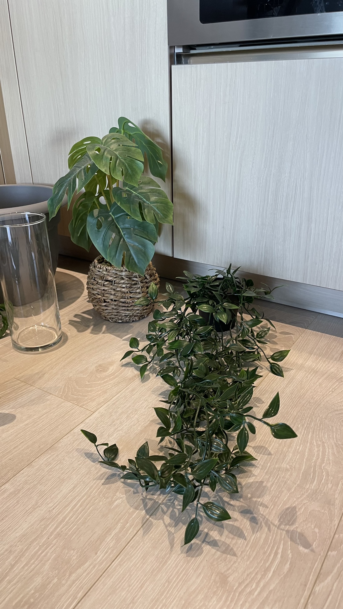 Plant Bundle - photo 3