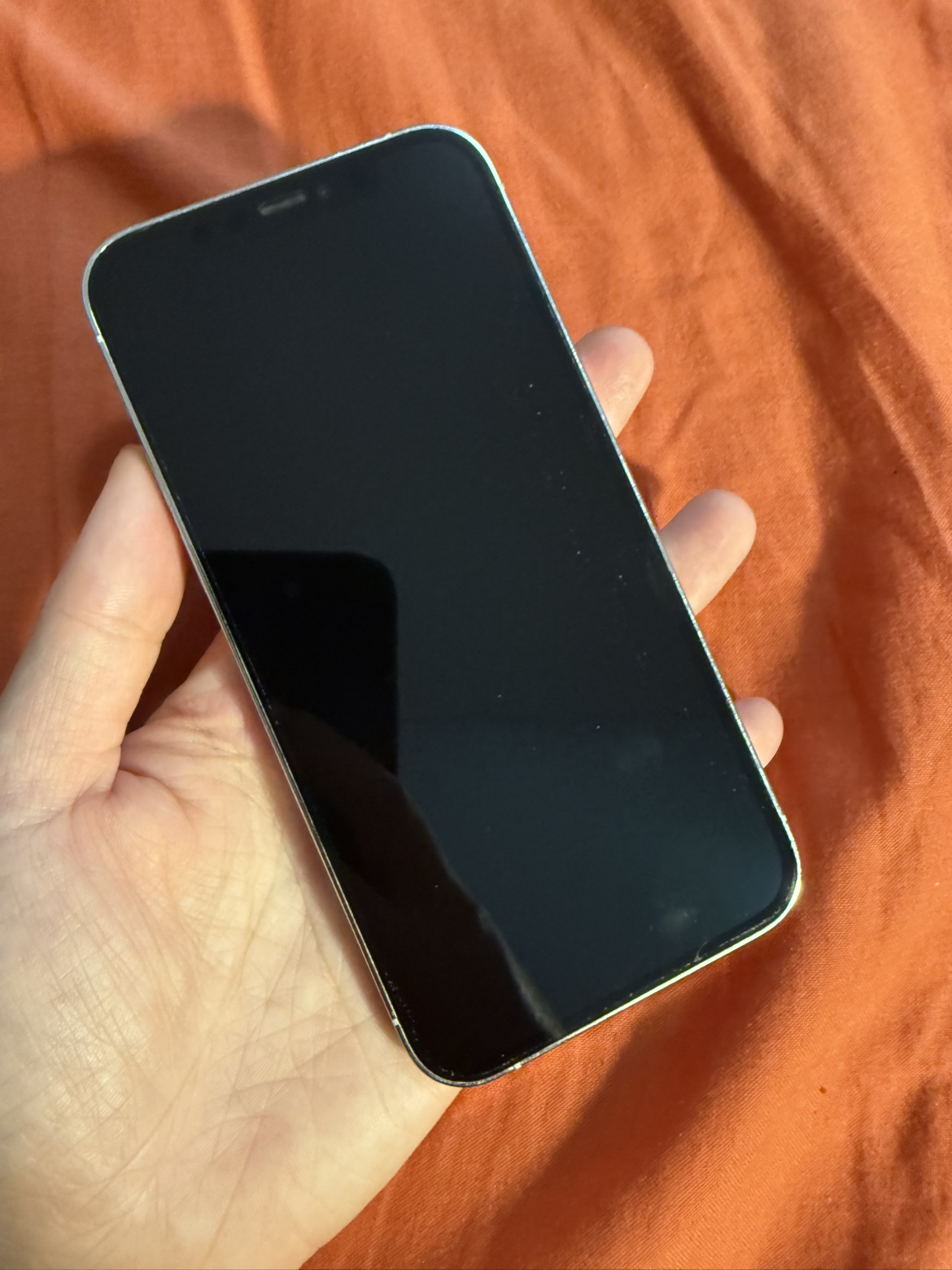 iPhone 12 Pro 256 GB white - photo 2