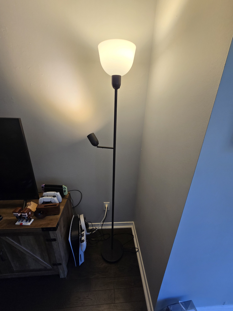Floor lamp with reading light
