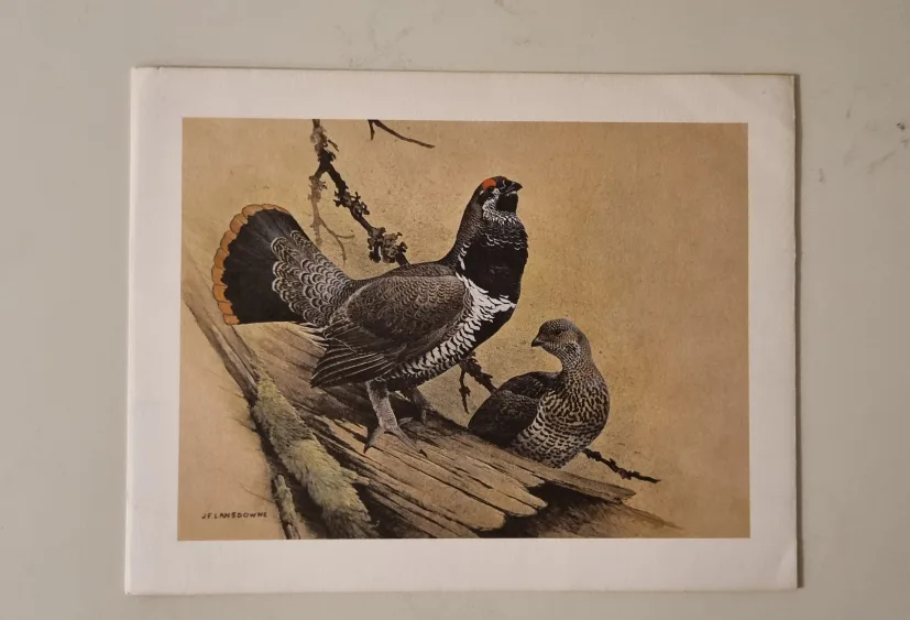 Set of 4 Christmas Cards Vintage Bird Prints image indicator(2)