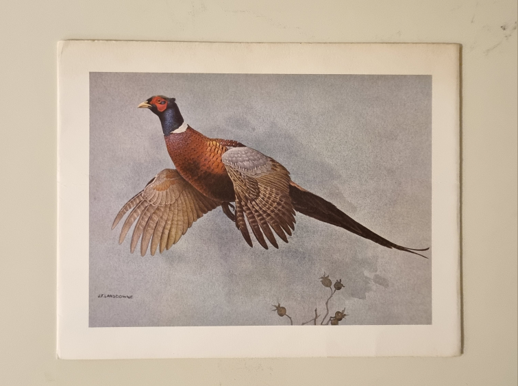 Set of 4 Christmas Cards Vintage Bird Prints - photo 4