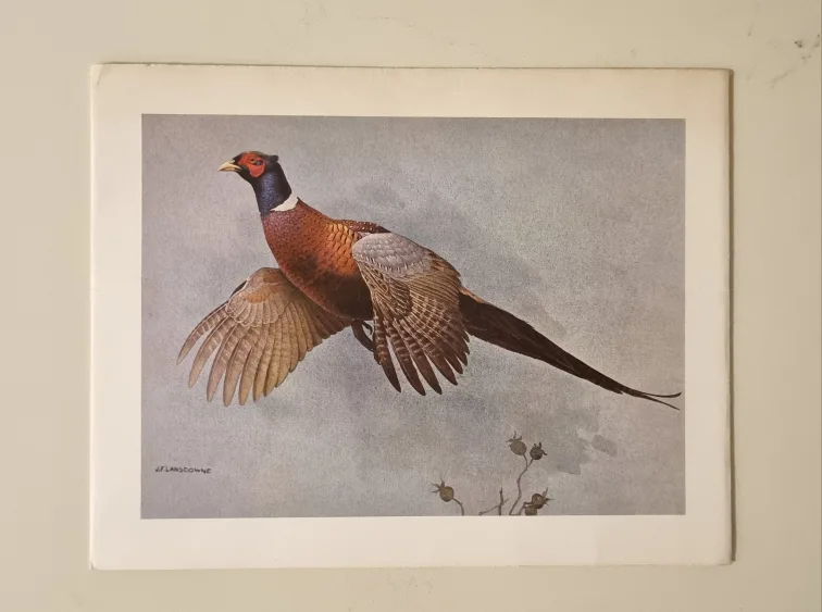 Set of 4 Christmas Cards Vintage Bird Prints image indicator(4)