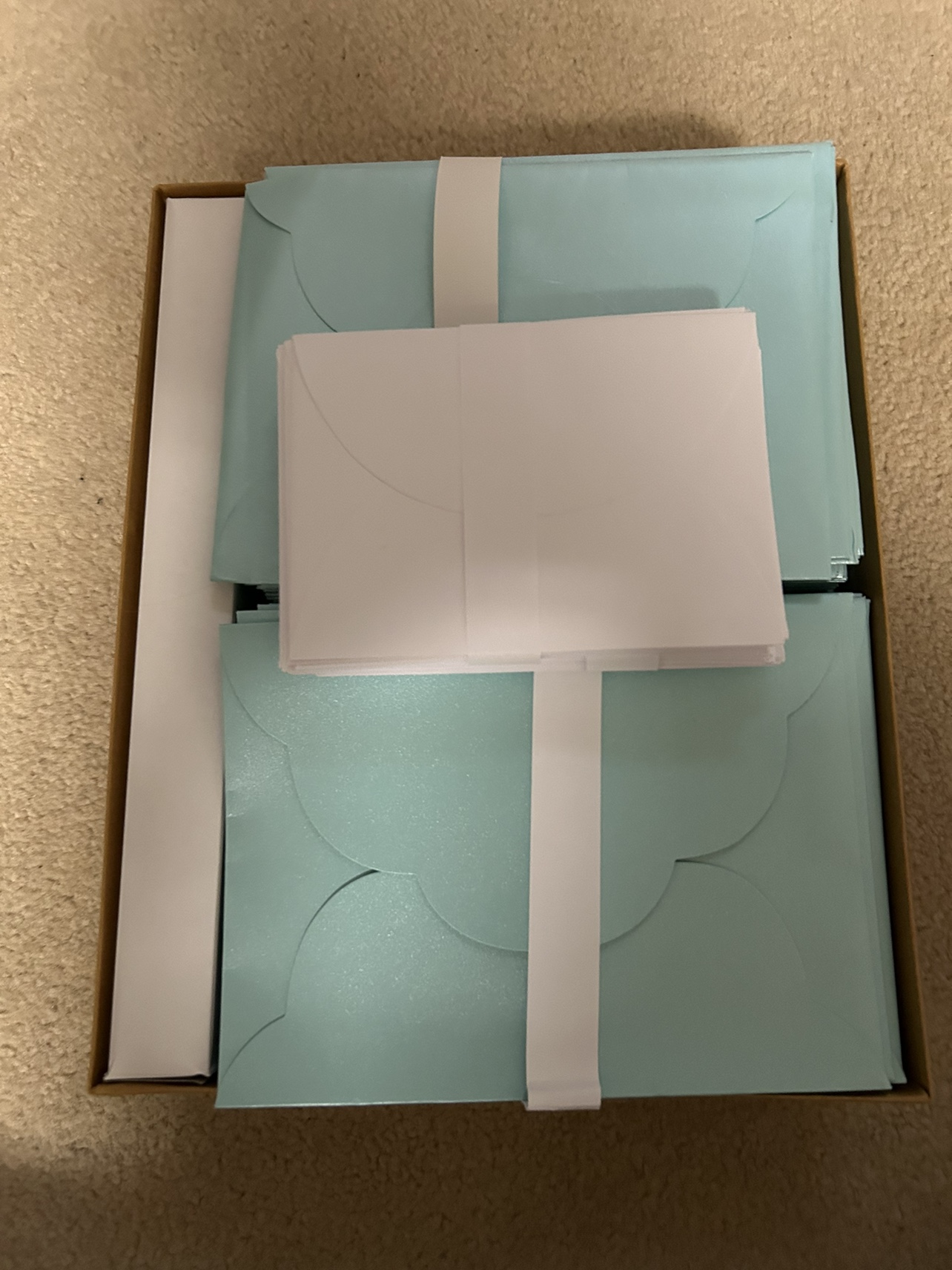 Wedding Invitation Kit - photo 3