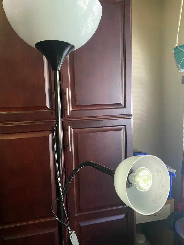 Black Floor Lamp with Two Lights image indicator(2)