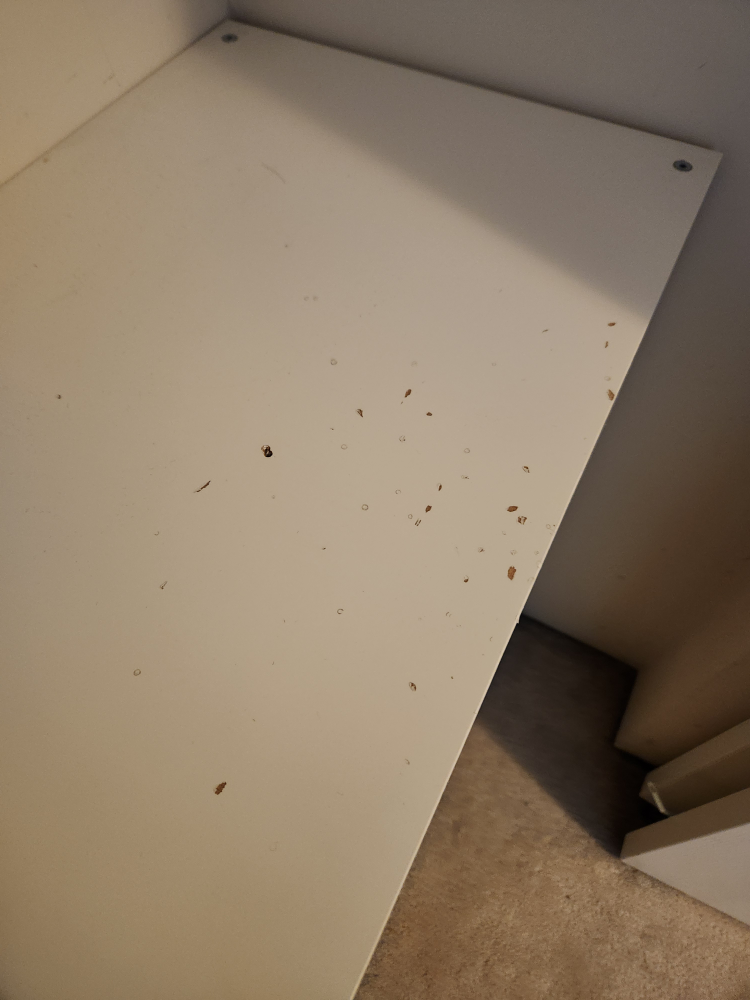 IKEA Kallax Shelving Unit - photo 4
