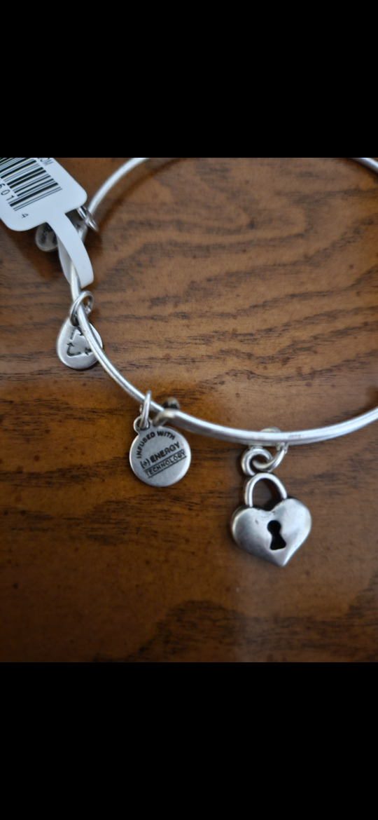 Alex and Ani Key to My Heart Bangle Bracelet - photo 3