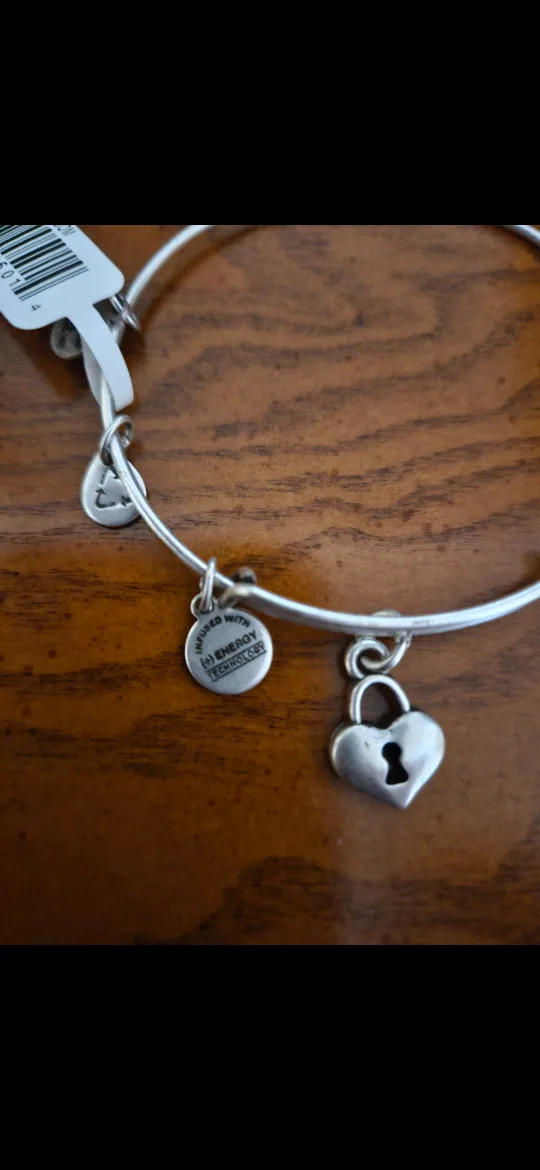 Alex and Ani Key to My Heart Bangle Bracelet image indicator(3)
