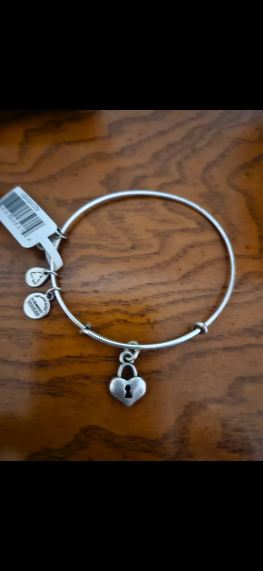 Alex and Ani Key to My Heart Bangle Bracelet image indicator(4)