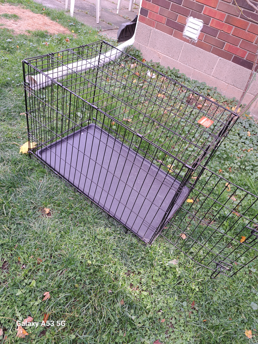 Dog Crate