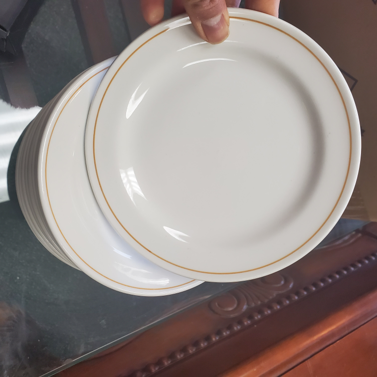 Desert Plates 18pc