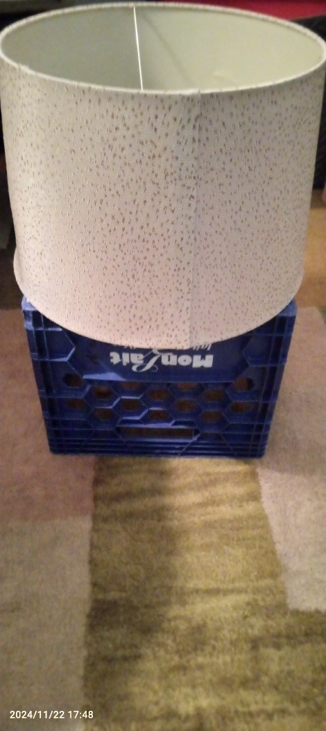 #freecycle-White Lamp Shade