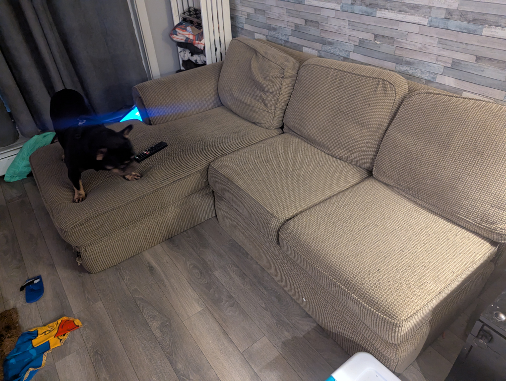Free Sofa