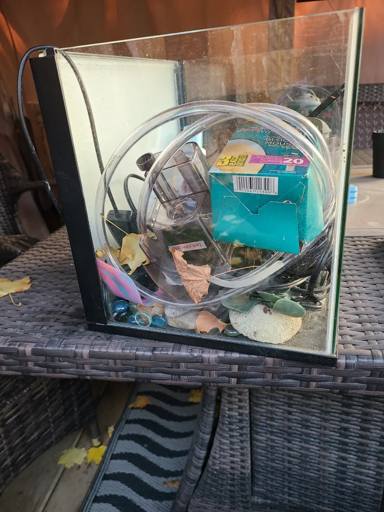 Small Fish Tank image indicator(2)