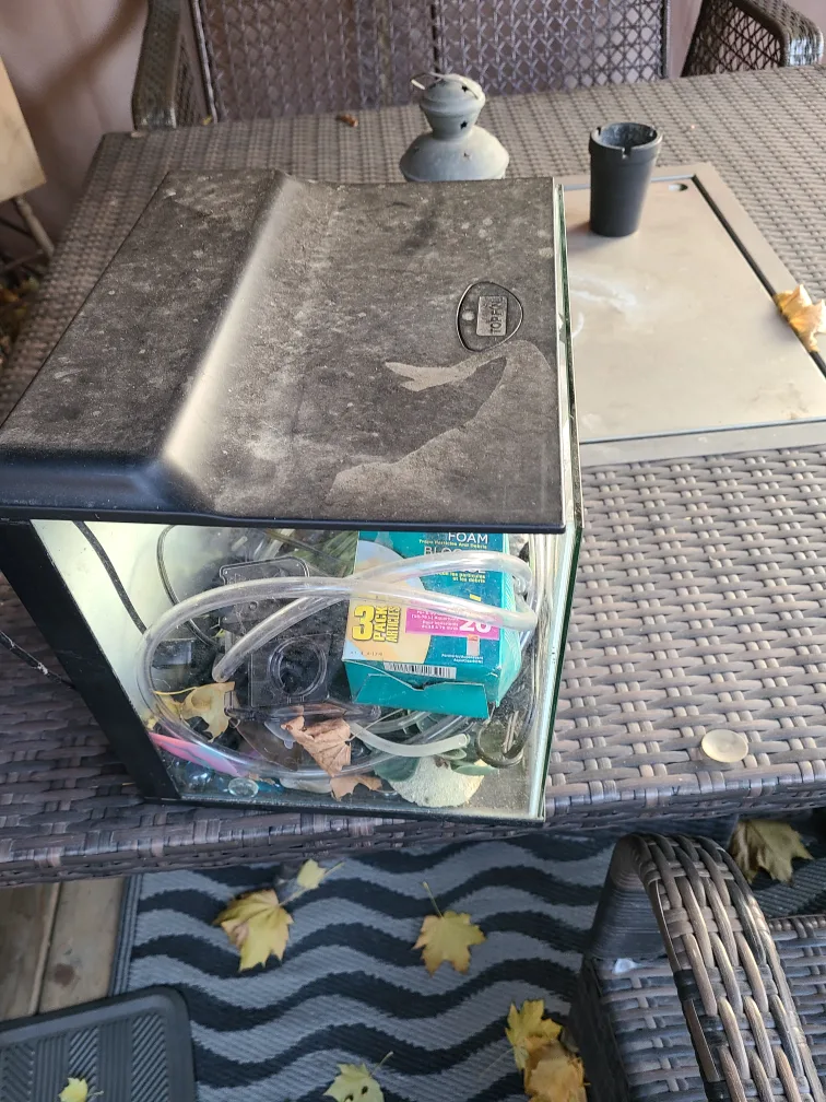 Small Fish Tank image indicator(3)