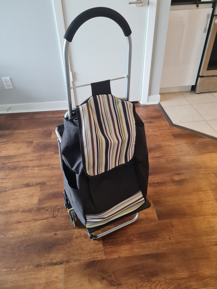 Rolling Shopping Cart with Folding Seat