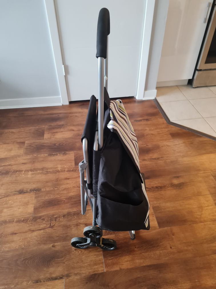 Rolling Shopping Cart with Folding Seat - photo 3