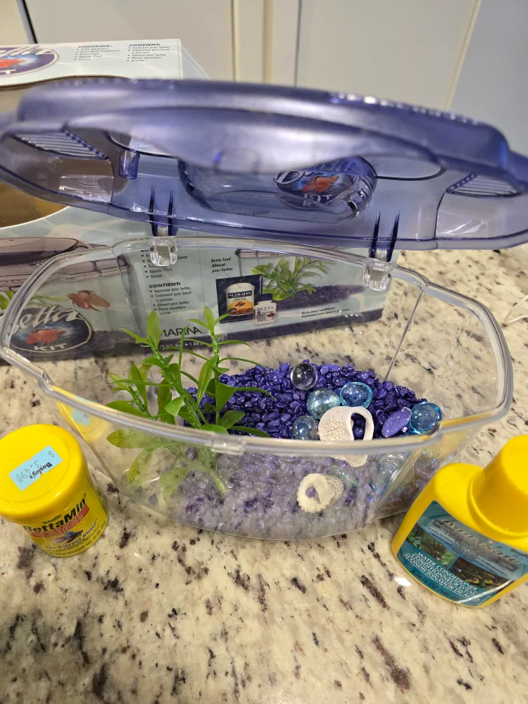 Fish Aquarium, Betta Kit with all accessories image indicator(4)