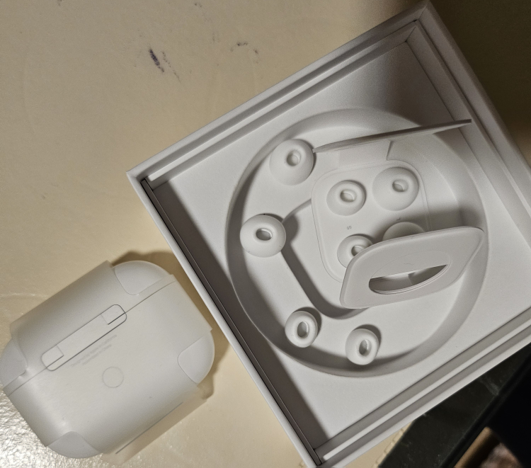 Apple AirPods Pro 1 Charging Case with new ear tips