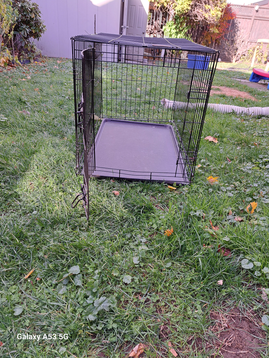 Dog Crate - photo 4