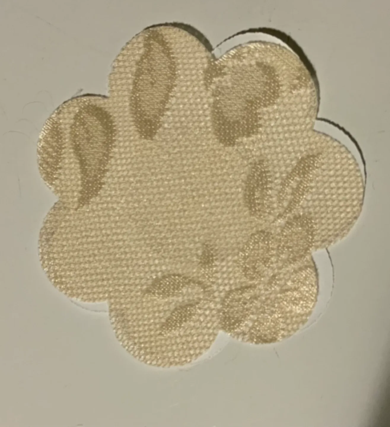 Reusable Lace Pasties 🧡 image indicator(2)