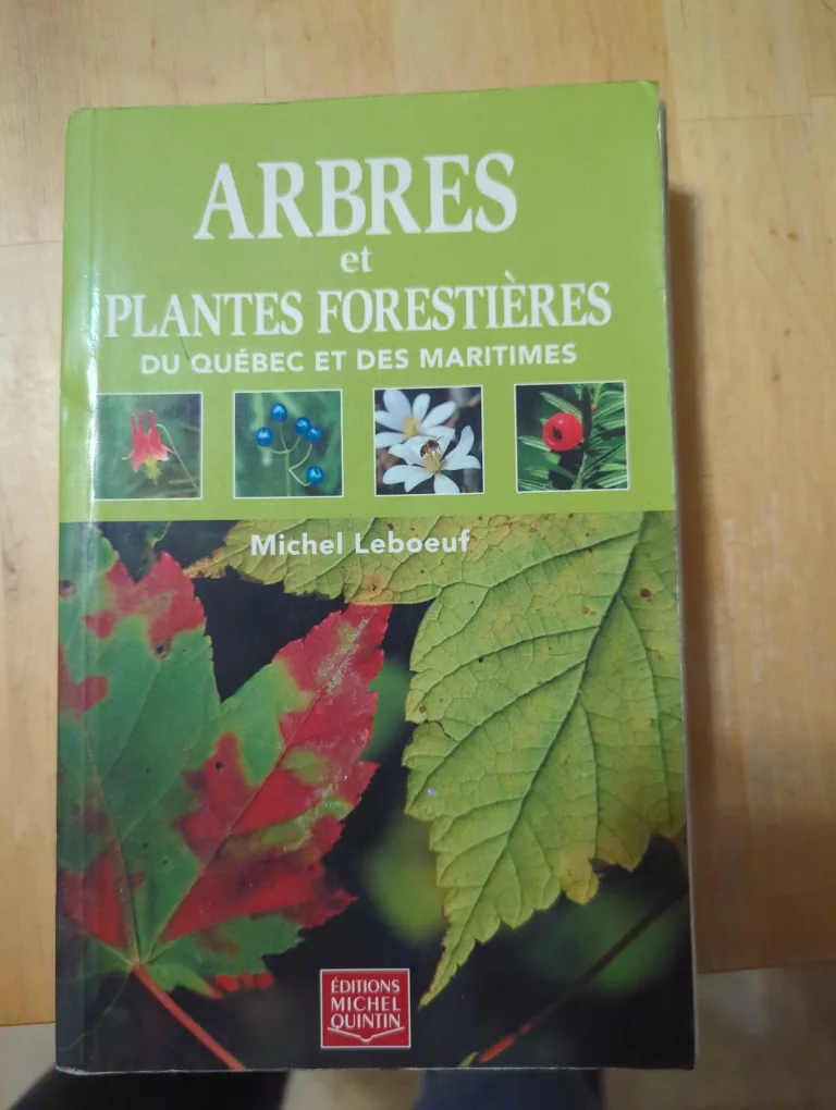 Arbres et plantes forestières du Québec et des Maritimes thumbnail